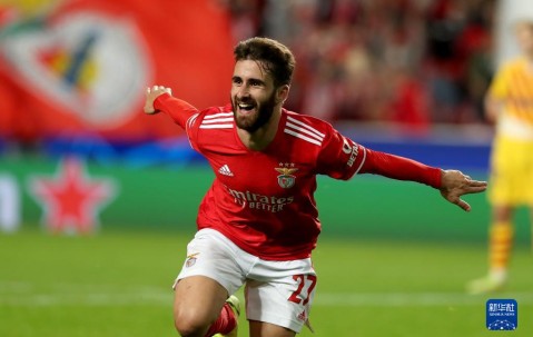 西甲赛后走向成谜，本菲卡伤情更新，赛场秩序良好，赛程密集仍需轮换的简单介绍-开云棋牌入口